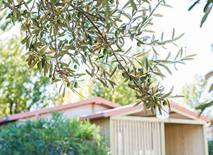 Lodges verhuur 4-5 personen in Hérault