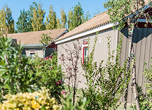 Lodges verhuur 6 personen in Hérault