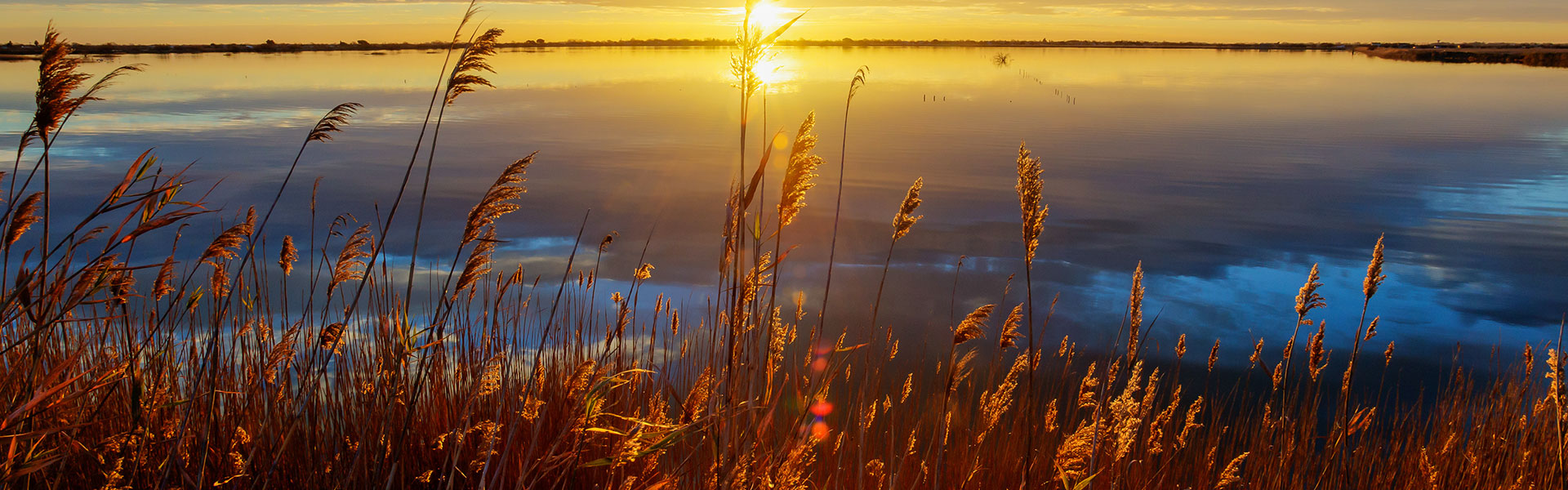 Lodges Méditerranée's eco-responsible commitment to the environment