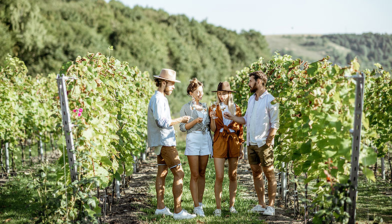 Wine tourism Valras