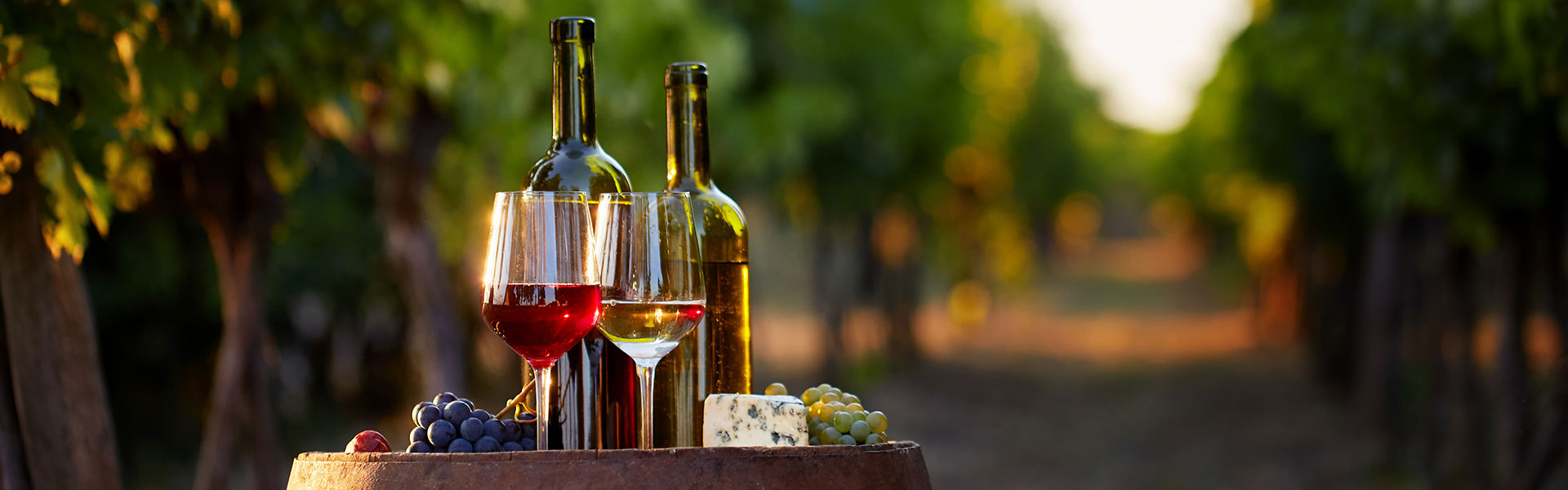 Wine tourism Vendres