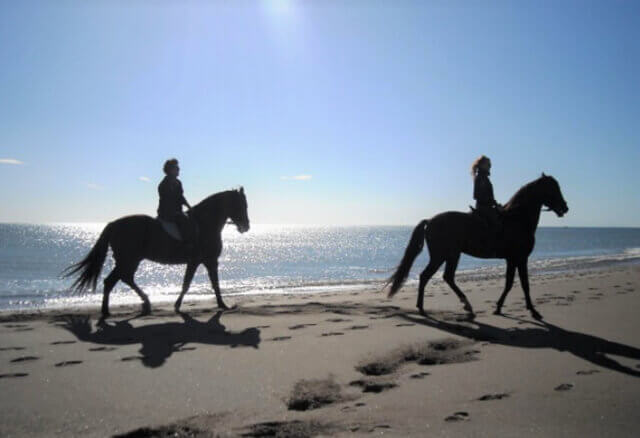 Paseo a caballo